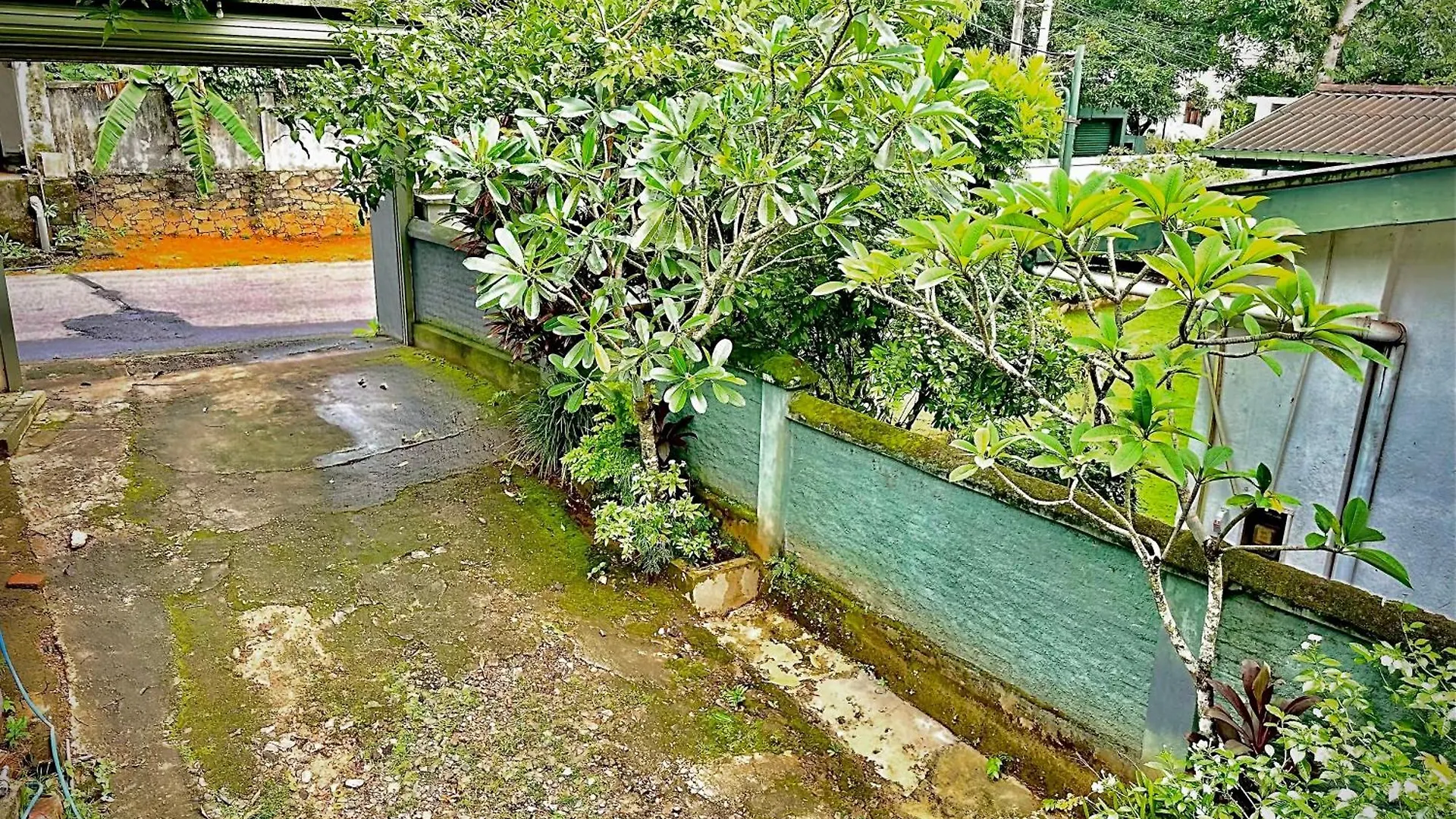 Place 236 Канди Шри-Ланка